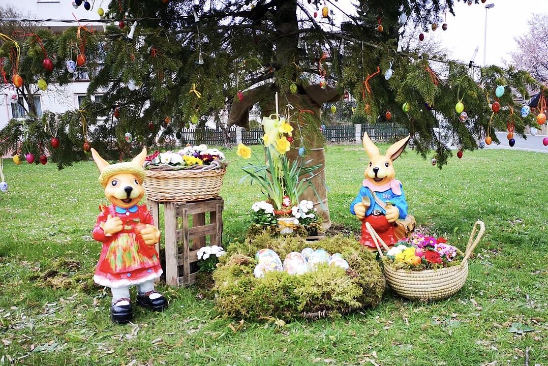 Die schönsten Frühlingsfotos aus Forchheim und Umgebung
