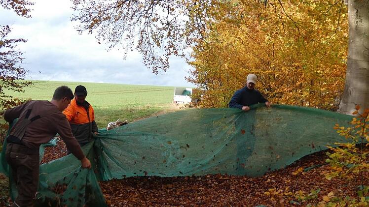 Unter Rotbuchen im Sailershäuser Wald wurden Netze ausgelegt.