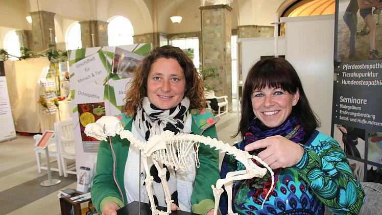 Susanne Prell (von links) und Stephanie Wiener sind zum ersten Mal bei den Gesundheitstagen, hier zeigen sie das Skelett eines Hundes. Foto: Ralf Ruppert