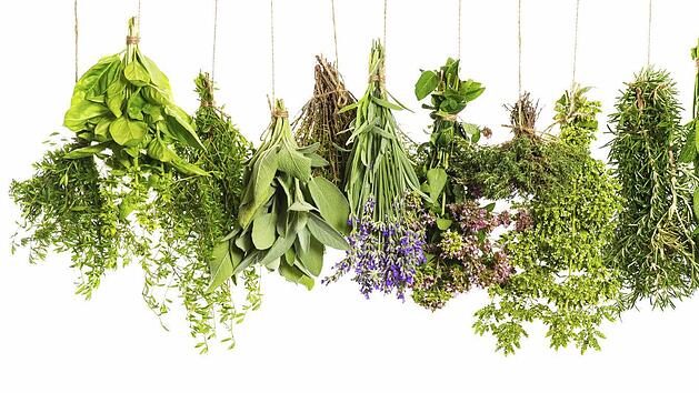 Frische Kr&auml;uter sollten bereits beim Aufsetzen der Trockenmauer bepflanzt werden. Symbolbild: Thinkstock