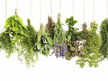 Frische Kräuter sollten bereits beim Aufsetzen der Trockenmauer bepflanzt werden. Symbolbild: Thinkstock