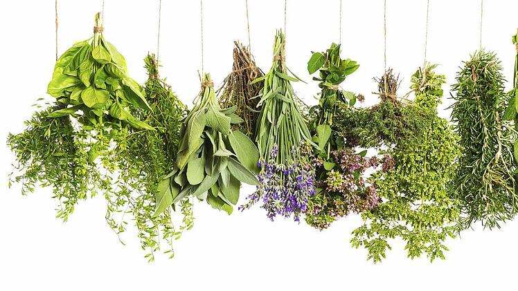Frische Kräuter sollten bereits beim Aufsetzen der Trockenmauer bepflanzt werden. Symbolbild: Thinkstock