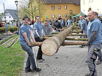 Mit vereinten Kräften wurde die Kerwafichten in Weigelshofen aufgerichtet. Foto: Mathias Erlwein