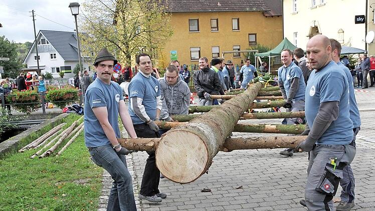 Mit vereinten Kräften wurde die Kerwafichten in Weigelshofen aufgerichtet. Foto: Mathias Erlwein
