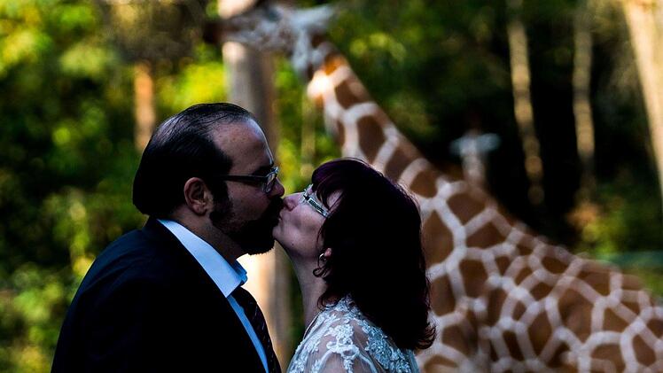 Tiergarten Nürnberg: Rührende Geschichte zum Valentinstag - Sandra lernt Ehemann im Zoo kennen