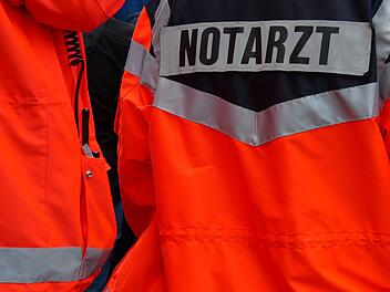 Notarzt, Rettungsdienst