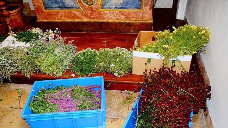 Die gesammelten HeilpflanzenJoseph Beck