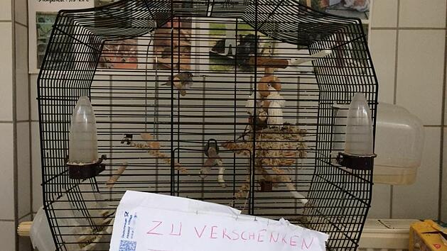 Tierheim Erlangen nimmt ausgesetzte Vögel auf