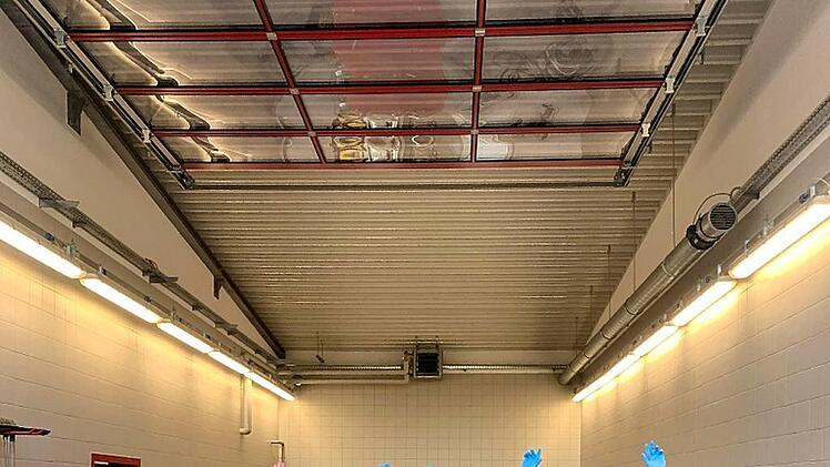 wer will alles Pizza