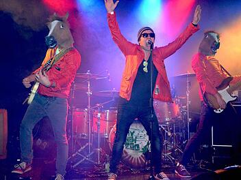 Nicht nur das Wasserhaus, auch "My New Zoo" haben sich weiterentwickelt: Das kommende Album ist komplett auf Deutsch. Foto: Musikini