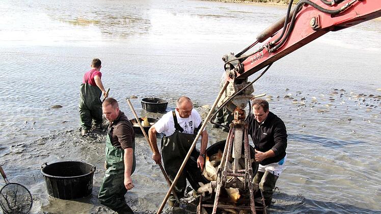 Impressionen vom Abfischen  Richard Sänger