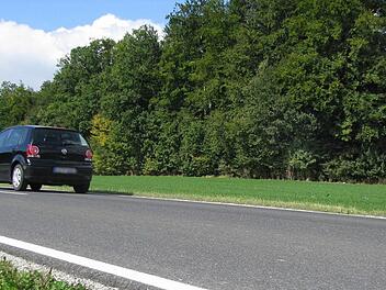 Das Foto ist vom künftigen Radweg neben der B 22 (zwischen Ebrach und Breitbach) aus gesehen in Höhe der geplanten Zufahrt zum Parkplatz entstanden. Der Baumwipfelpfad ist im Waldbereich hinter dem Fahrzeug vorgesehen. Foto: Walter Hanslok