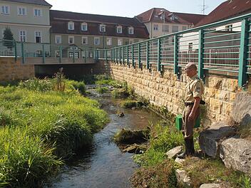 Der Leiter der Polizeistation Bad Staffelstein, Gerald Storath (im Bild), vermutet den Ursprung des Fischsterbens nahe des Gasthofs "Grüner Baum" (grünes Gebäude im Hintergrund). Von dort aus etwa 200 Meter Richtung Innenstadt starben die Fische. Foto: Matthias Einwag