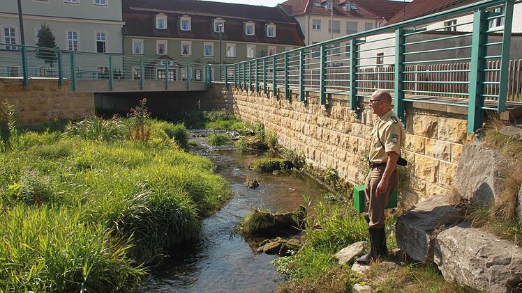 Der Leiter der Polizeistation Bad Staffelstein, Gerald Storath (im Bild), vermutet den Ursprung des Fischsterbens nahe des Gasthofs "Grüner Baum" (grünes Gebäude im Hintergrund). Von dort aus etwa 200 Meter Richtung Innenstadt starben die Fische. Foto: Matthias Einwag