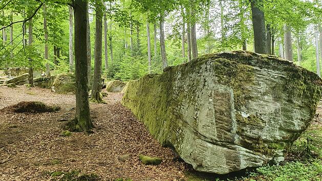 Die Langen Steine bei Riedenberg liegen in einer Kernzone des Biosph&auml;renreservates.  Foto: Steffen Standke
