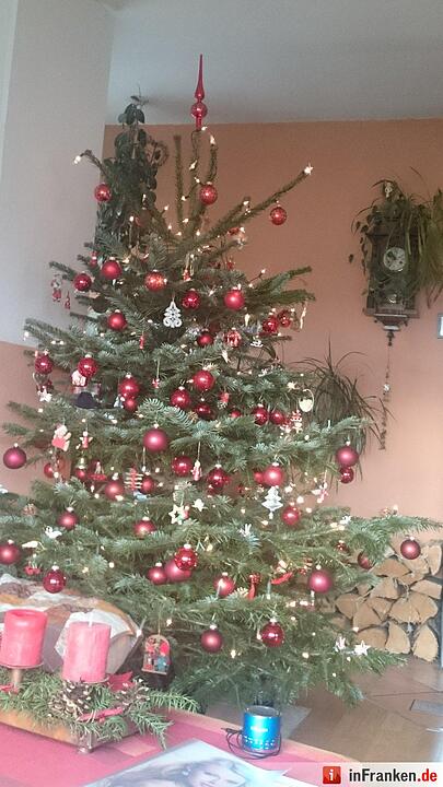 Weihnachten in Franken: Die Christbäume unserer Leser