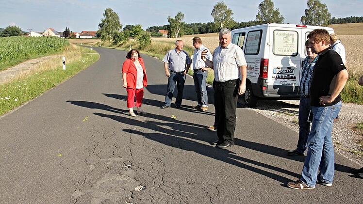 Vom sanierungsbedürftigen Zustand der Straße zwischen Frickendorf und Höchstädten (Hintergrund) überzeugte sich der Bauausschuss. Für zirka 65 - 70.000 Euro soll die Straße saniert werden. Foto: Helmut Will