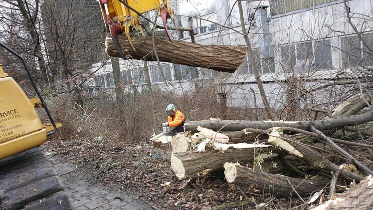 Foto: Josef Hofbauer