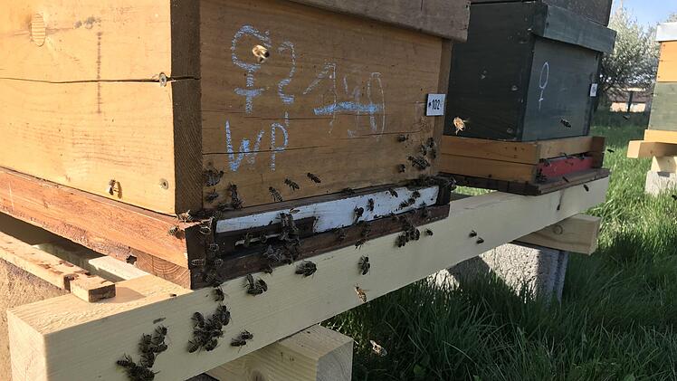 Ein Teil der Bienenhäuser von Angermüller. Anja Vorndran