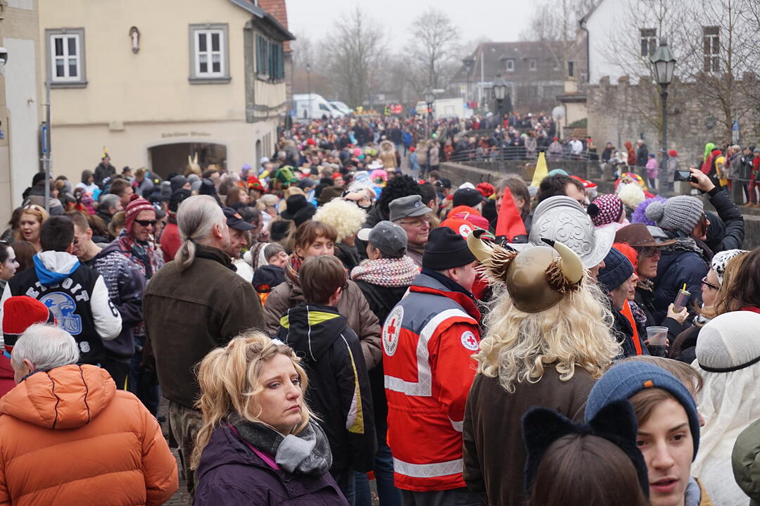 Landkreisfaschingszug 2015