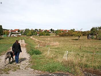 Noch Kuhweide ist das Baugebiet "Brennofen" in Wollbach. Hier wird erwogen, eine Kaltwärmeversorgung zu installieren. Foto: Gabriele Sell