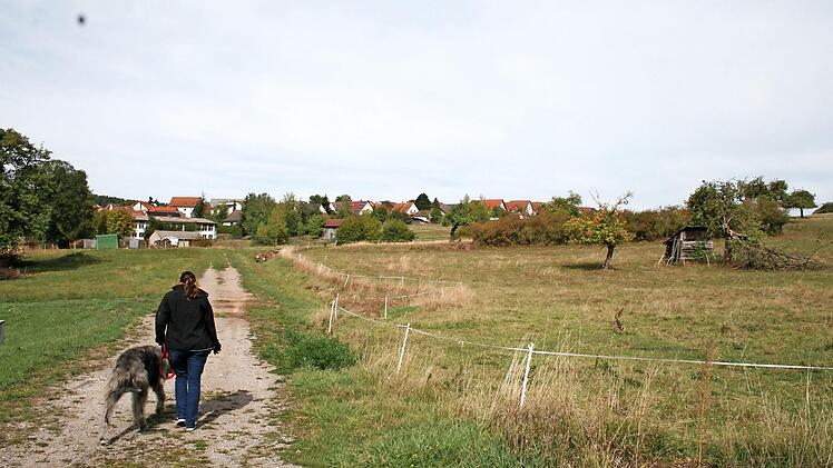 Noch Kuhweide ist das Baugebiet "Brennofen" in Wollbach. Hier wird erwogen, eine Kaltwärmeversorgung zu installieren. Foto: Gabriele Sell