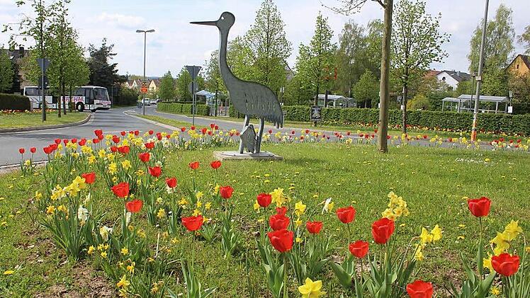 Blühende Blumen, soweit das Auge reicht. Hier der größte Teppich an der Schwedenschanze.  Fotos: Andreas Dorsch