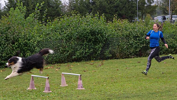 Sabrina Muth mit Dodge von den Hundefreunden Eltmann war die beste Starterin im Hindernislauf beim Turnier des Vereins für Hundesport Wonfurt.  Ulrike Langer