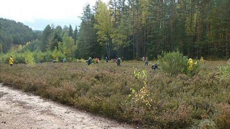 Jugendliche, die ein Freiwilliges Ökologisches Jahr absolvieren, helfen hier bei der Landschaftspflege bei Rotheul.  Foto: Stefan Beyer