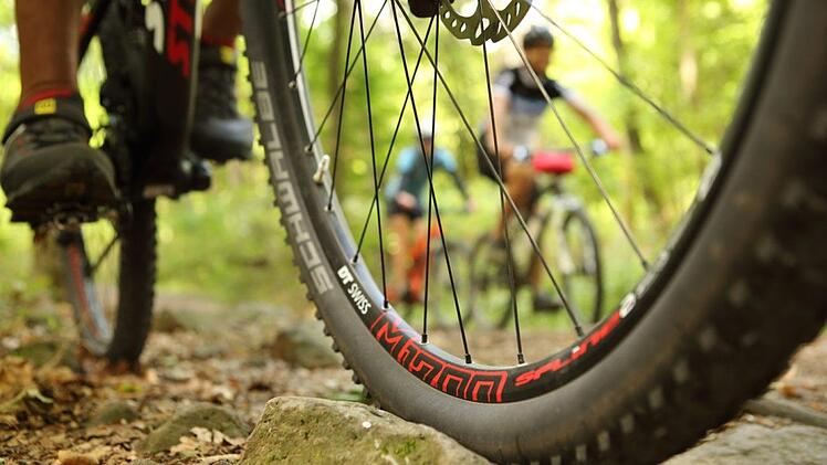 Seit Corona sind immer mehr Mountainbiker auch in den Wäldern rund um Forchheim  unterwegs.  Die    Interessensgemeinschaft  Trail Park will         die  vielen   Strecken nun kanalisieren.  Alexander Mengel