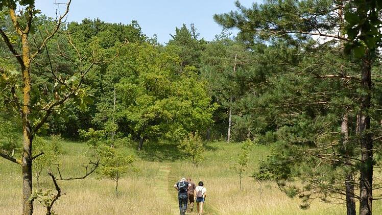 Archivaufnahmen vom Premiumweg. Am Samstag, 22. April, startet eine geführte Wanderung. Foto: Björn Hein