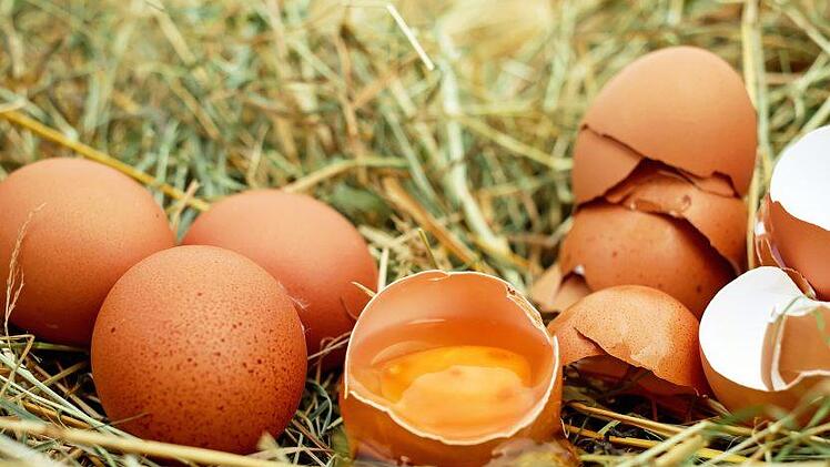 Die Preise von Eier-Produkten bei "Aldi" steigen im Januar 2020 an. Symbolfoto: Couleur/pixabay.com