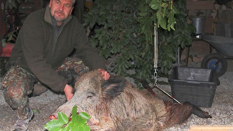 Das Ende des Keilers: Jürgen Düsterwald erlegte nach 40 Stunden auf dem Ansitz das kapitale Wildschwein.  Foto: Gerd Schaar