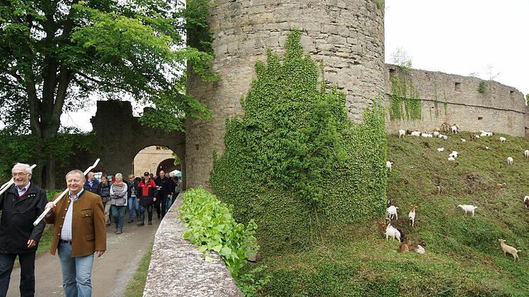 Die Wanderer starten an der Trimburg.
