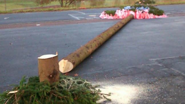 Ein Anblick des Jammers: der umgesägte Plobaum in Oberbach am Sonntagmorgen.Foto: Evelyn Schneider