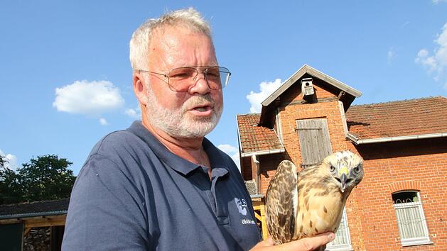 Ulrich Leicht mit einem M&auml;usebussard Foto: Wolfgang Desombre