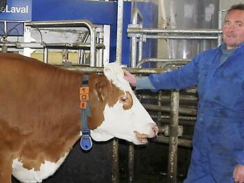 Reiner Wittmann und seine Kühe profitieren von der modernen Melktechnik. Foto: Veronika Schadeck