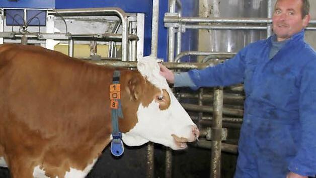 Reiner Wittmann und seine Kühe profitieren von der modernen Melktechnik. Foto: Veronika Schadeck