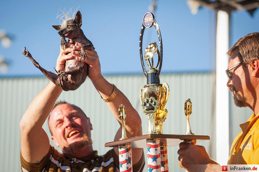 2016 World's Ugliest Dog Contest in California