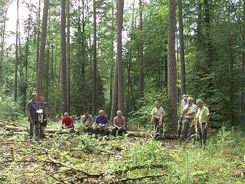 Die Stadtr&auml;te erfuhren im Stadtwald alles rund um die Bewirtschaftung.Christian Licha