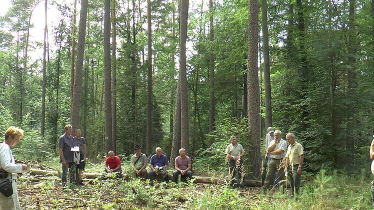 Die Stadtr&auml;te erfuhren im Stadtwald alles rund um die Bewirtschaftung.Christian Licha