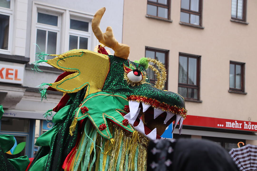 Landkreis Faschingszug