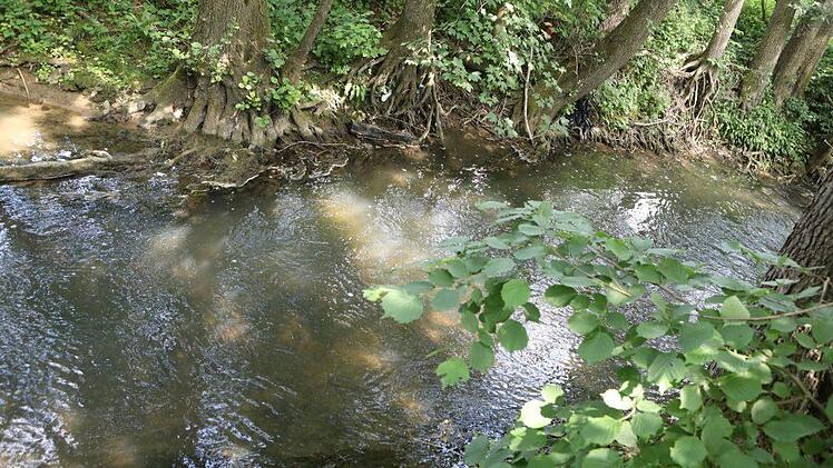 Der Leitenbach bei Wiesengiech. In der dortigen Flur hatte ein Spritzmittelunfall vor einem Jahr für ein großes Fischsterben gesorgt.Foto: Barbara Herbst