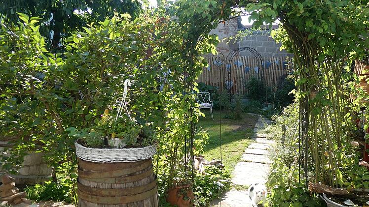 Ramblerrosen und Refugien für Insekten bei Familie Stärker-Kaiser aus Garitz. Dieter Büttner