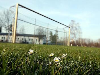 Tore als Risiko: Kein Anpfiff bei Sicherheitsl&uuml;cke