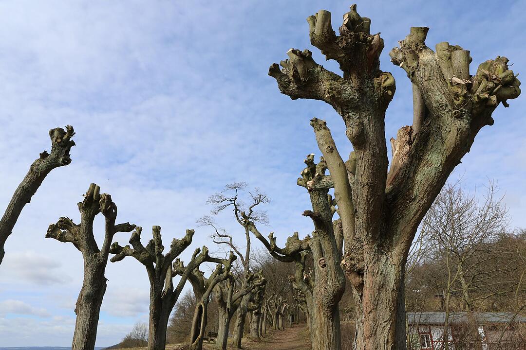 Ortsportrait Kloster Banz; Foto: Barbara Herbst