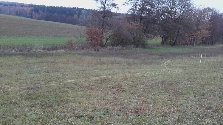 Schon dreimal hat ein Unbekannter den Zaun umgelegt. Die Becks befürchten, dass die Tiere fortlaufen könnten und ein Unfall passiert. Foto: Christine Beck