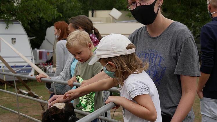 Impressionen rund um die Premiere des "Circus Henry" in Dörfles-Esbach (Landkreis Coburg). Dort gastiert der Zirkus noch bis Anfang Oktober - mit Vorstellungen jeden Samstag und Sonntag. - Foto: Manja von Nida