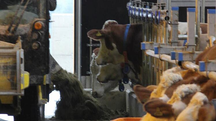 Zu Gast im neuen Stall in Effelter. Foto: Marco Meißner