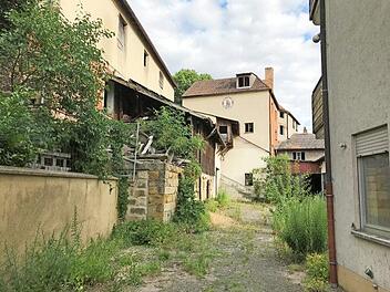 Blick auf das Brauhaus des ehemaligen Bären-Bräus. Die Natur hat sich in 20 Jahren das Gelände zurückerobert, Die Idylle und Ästhetik sind Gründe der KIS für die Öffnung des Geländes zum Altstadtfest. Foto: KIS